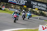 Oulton-Park-21st-March-2020;PJ-Motorsport-Photography-2020;anglesey;brands-hatch;cadwell-park;croft;donington-park;enduro-digital-images;event-digital-images;eventdigitalimages;mallory;no-limits;oulton-park;peter-wileman-photography;racing-digital-images;silverstone;snetterton;trackday-digital-images;trackday-photos;vmcc-banbury-run;welsh-2-day-enduro
